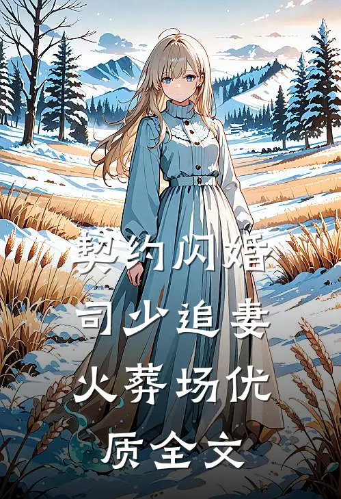 契约闪婚：司少追妻火葬场优质全文