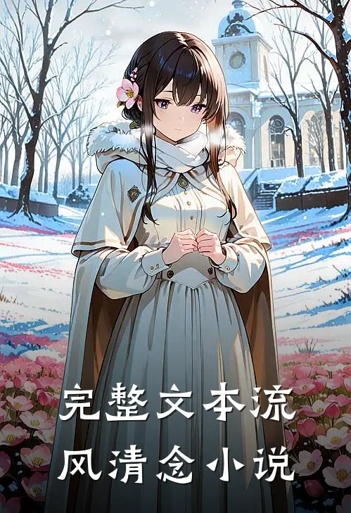 完整文本流风清念小说