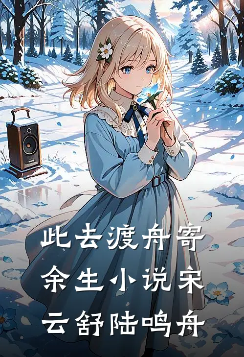 此去渡舟寄余生小说宋云舒陆鸣舟