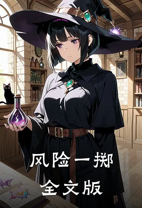 风险一掷全文版