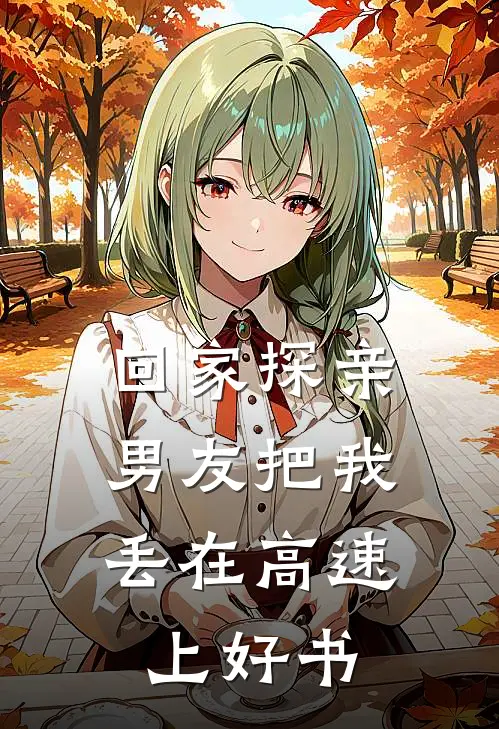 回家探亲，男友把我丢在高速上好书