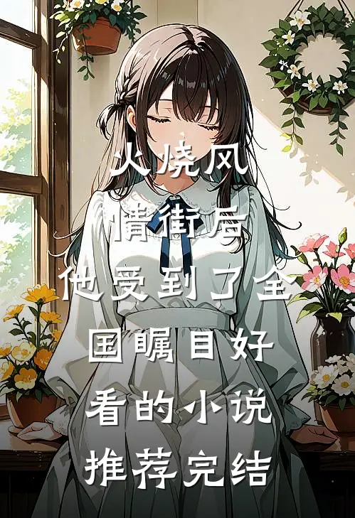 火烧风情街后，他受到了全国瞩目好看的小说推荐完结