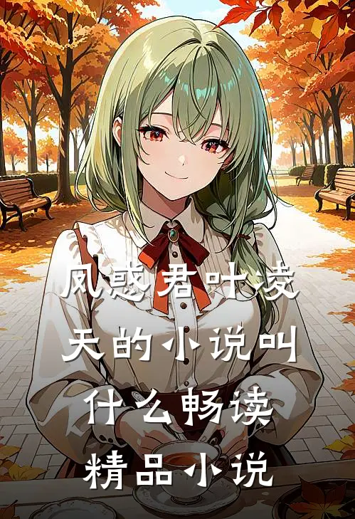 凤惑君叶凌天的小说叫什么畅读精品小说