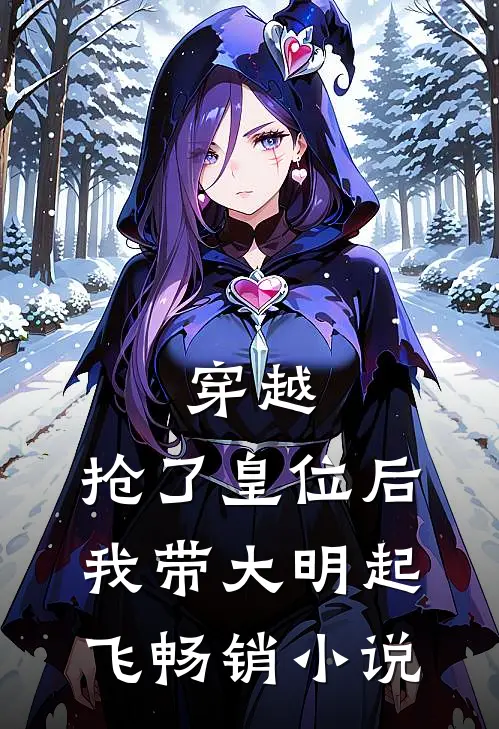 穿越：抢了皇位后，我带大明起飞畅销小说