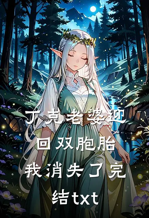 丁克老婆迎回双胞胎，我消失了完结txt
