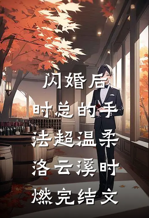 闪婚后，时总的手法超温柔洛云溪时燃完结文