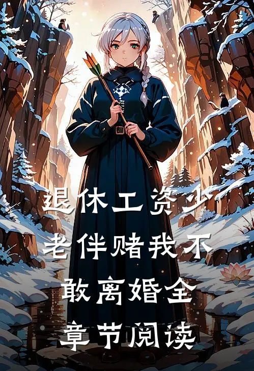 退休工资少，老伴赌我不敢离婚全章节阅读