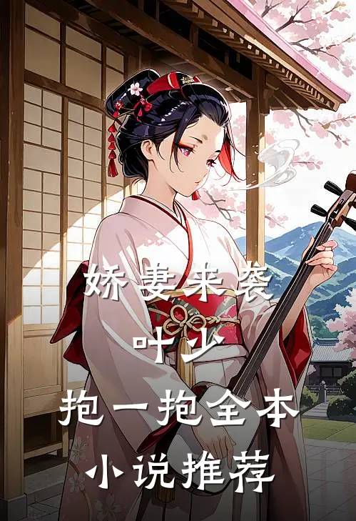 娇妻来袭：叶少，抱一抱全本小说推荐