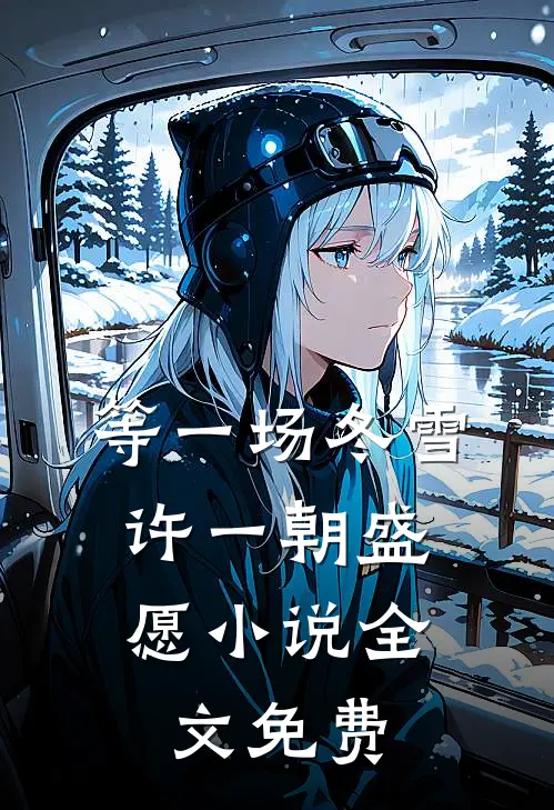 等一场冬雪，许一朝盛愿小说全文免费