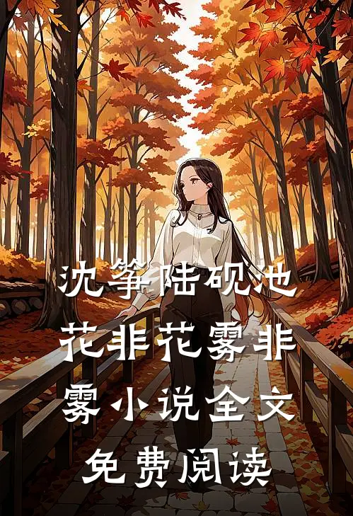 沈筝陆砚池花非花雾非雾小说全文免费阅读