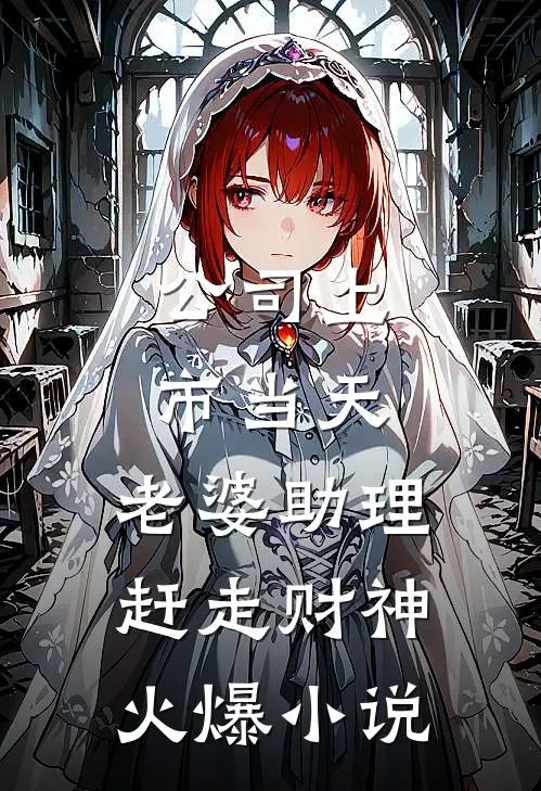 公司上市当天，老婆助理赶走财神火爆小说