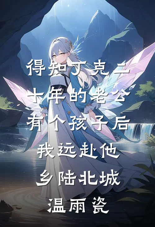 得知丁克二十年的老公有个孩子后，我远赴他乡陆北城温雨瓷