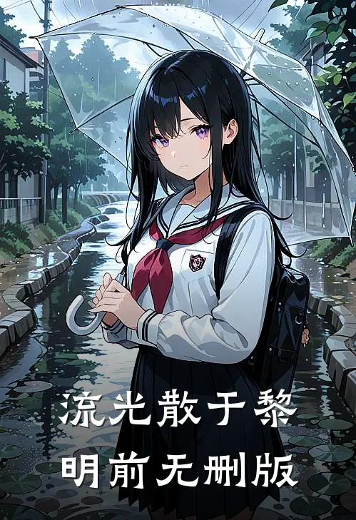 流光散于黎明前无删版