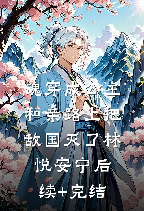 魂穿成公主，和亲路上把敌国灭了林悦安宁后续+完结