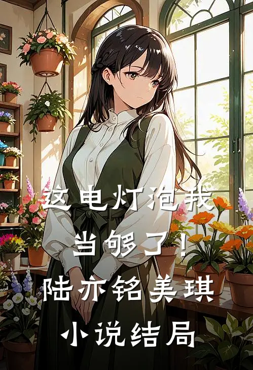 这电灯泡我当够了！陆亦铭美琪小说结局