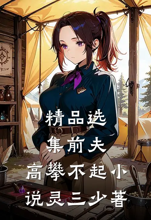精品选集前夫,高攀不起 小说灵三少著