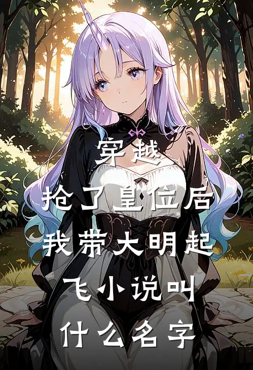 穿越：抢了皇位后，我带大明起飞小说叫什么名字