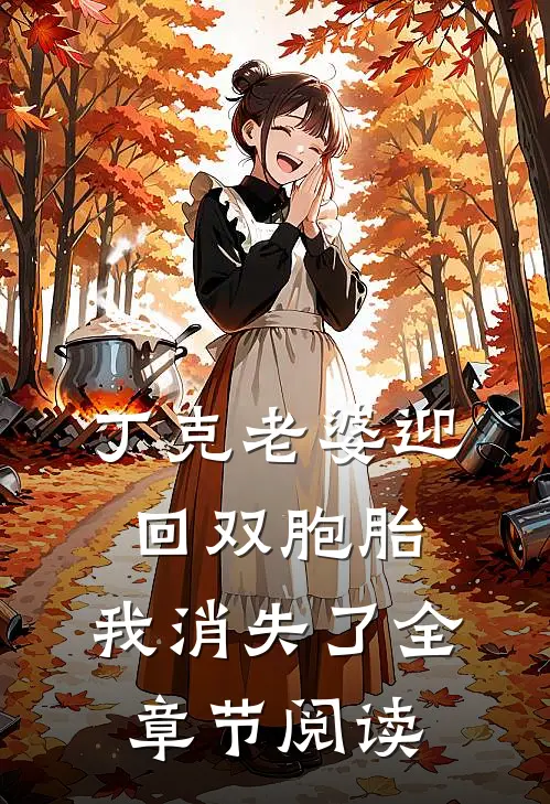 丁克老婆迎回双胞胎，我消失了全章节阅读