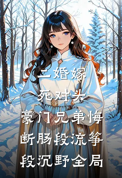 二婚嫁死对头，豪门兄弟悔断肠段流筝段沉野全局
