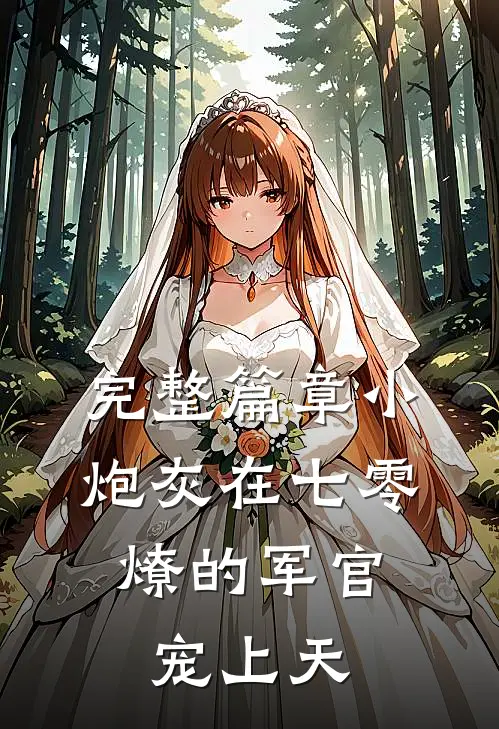 完整篇章小炮灰在七零，燎的军官宠上天