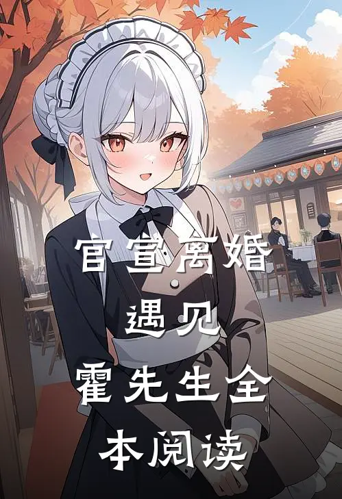 官宣离婚：遇见，霍先生全本阅读
