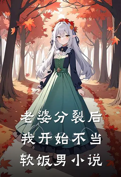 老婆分裂后，我开始不当软饭男小说