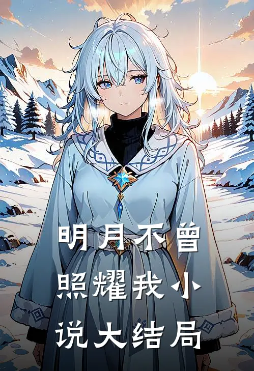 明月不曾照耀我小说大结局