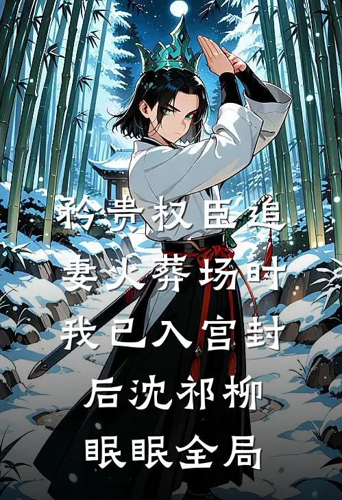 矜贵权臣追妻火葬场时，我已入宫封后沈祁柳眠眠全局