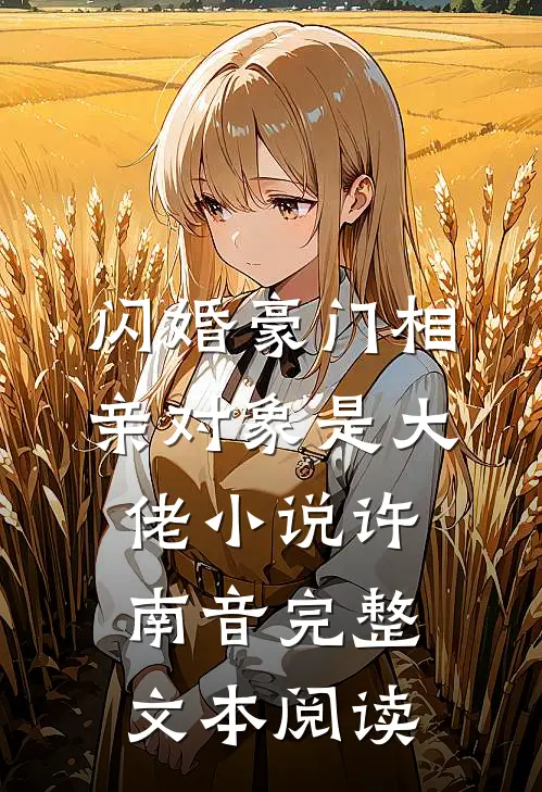 闪婚豪门相亲对象是大佬小说许南音完整文本阅读