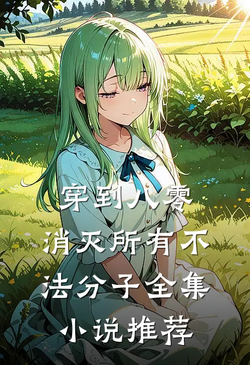 穿到八零，消灭所有不法分子全集小说推荐