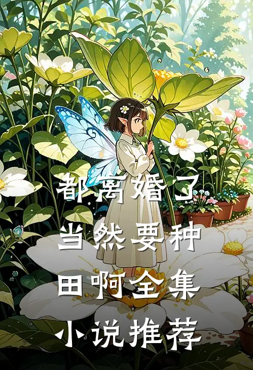 都离婚了，当然要种田啊全集小说推荐