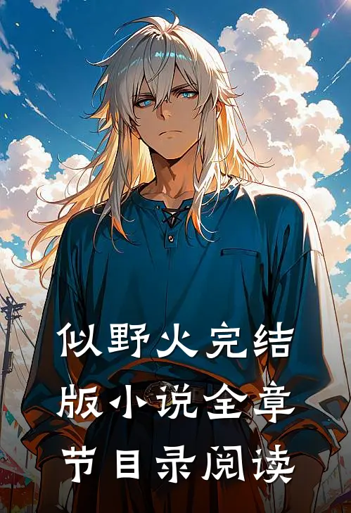 似野火完结版小说全章节目录阅读