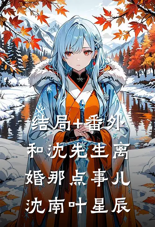 结局+番外和沈先生离婚那点事儿沈南叶星辰