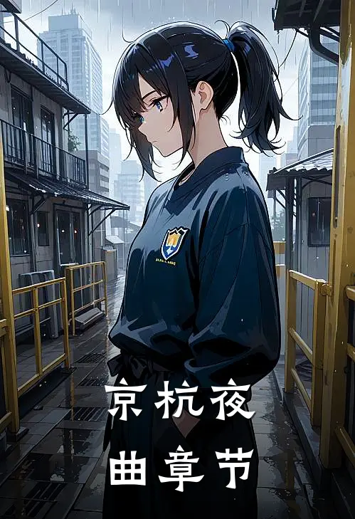 京杭夜曲章节