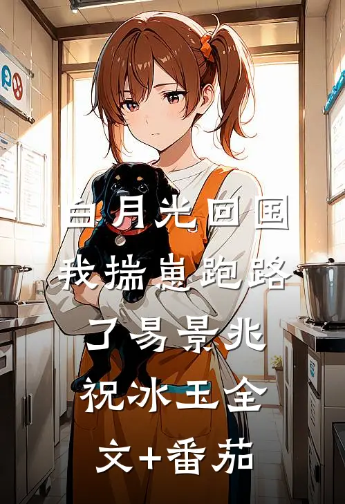 白月光回国，我揣崽跑路了易景兆祝冰玉全文+番茄