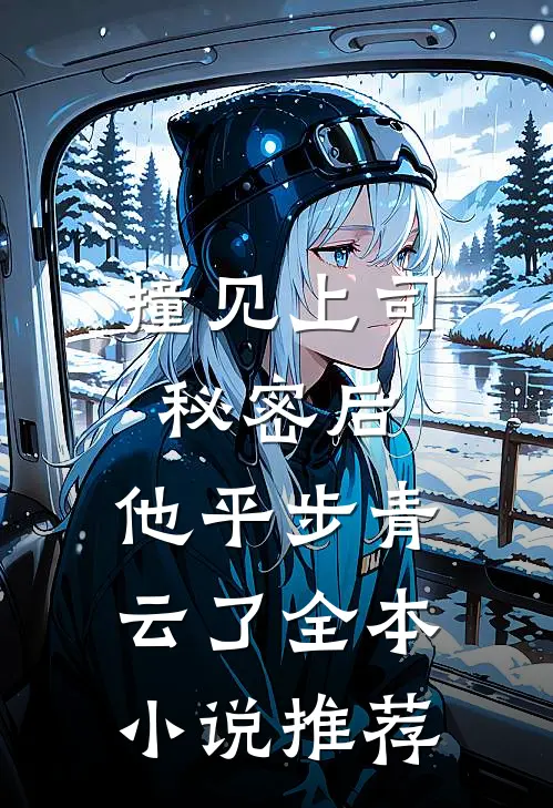 撞见上司秘密后，他平步青云了全本小说推荐