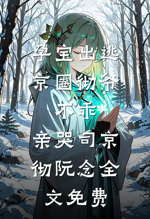 孕宝出逃，京圈彻爷：不乖，亲哭司京彻阮念全文免费