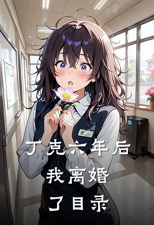 丁克六年后，我离婚了目录