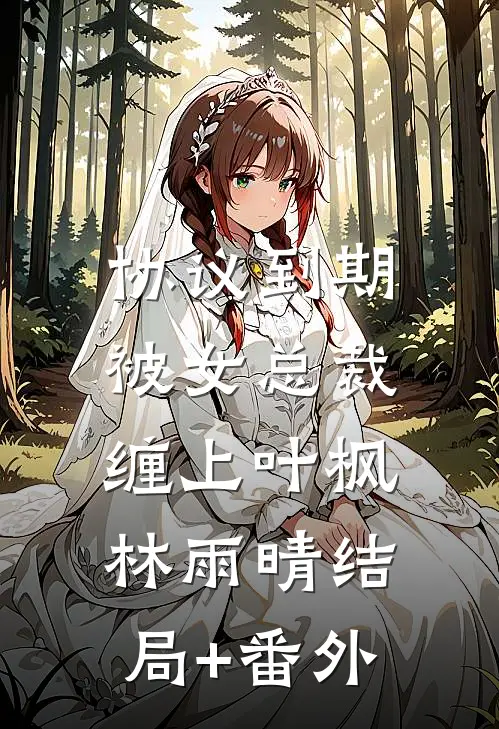 协议到期，被女总裁缠上叶枫林雨晴结局+番外