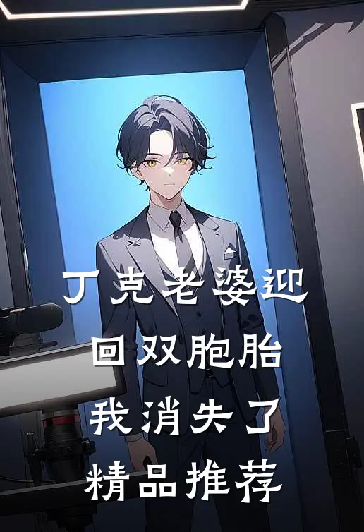 丁克老婆迎回双胞胎，我消失了精品推荐