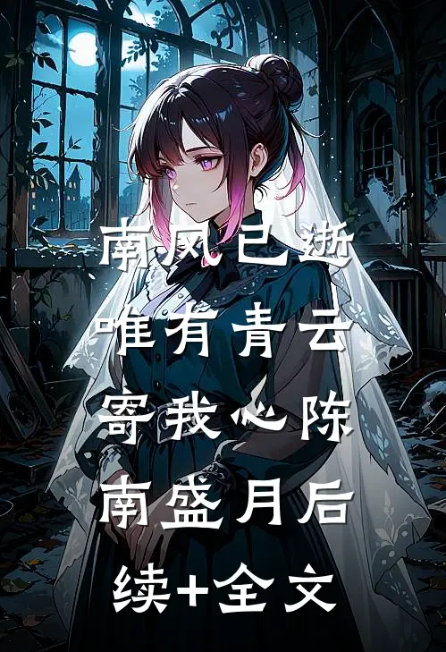 南风已逝，唯有青云寄我心陈南盛月后续+全文