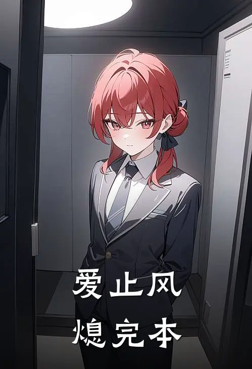 爱止风熄完本