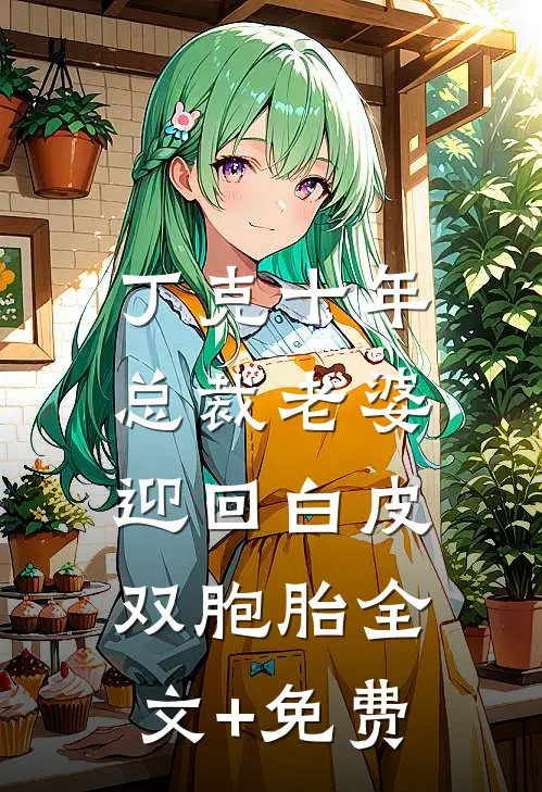 丁克十年，总裁老婆迎回白皮双胞胎全文+免费