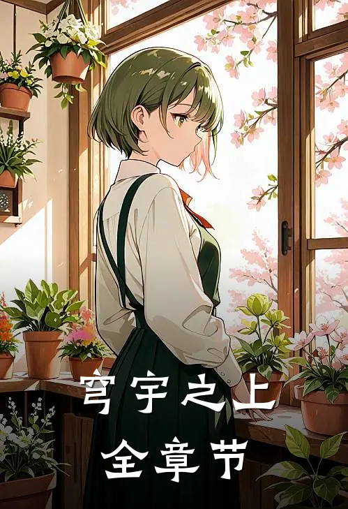 穹宇之上全章节
