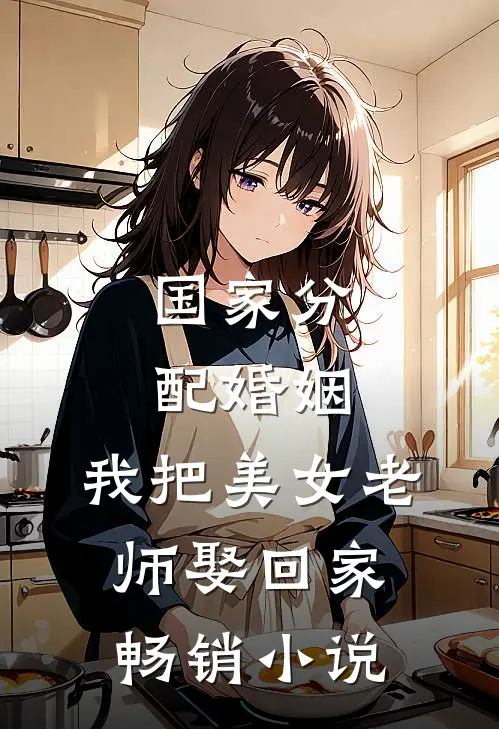 国家分配婚姻，我把美女老师娶回家畅销小说
