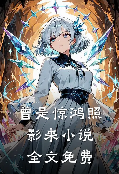 曾是惊鸿照影来小说全文免费