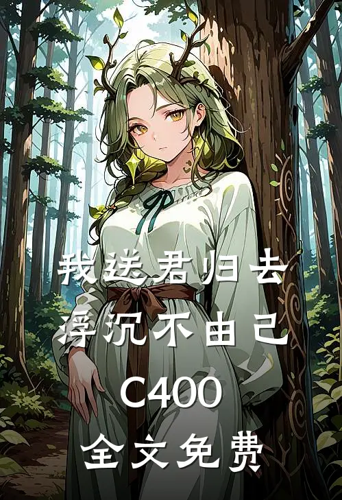 我送君归去，浮沉不由己C400全文免费