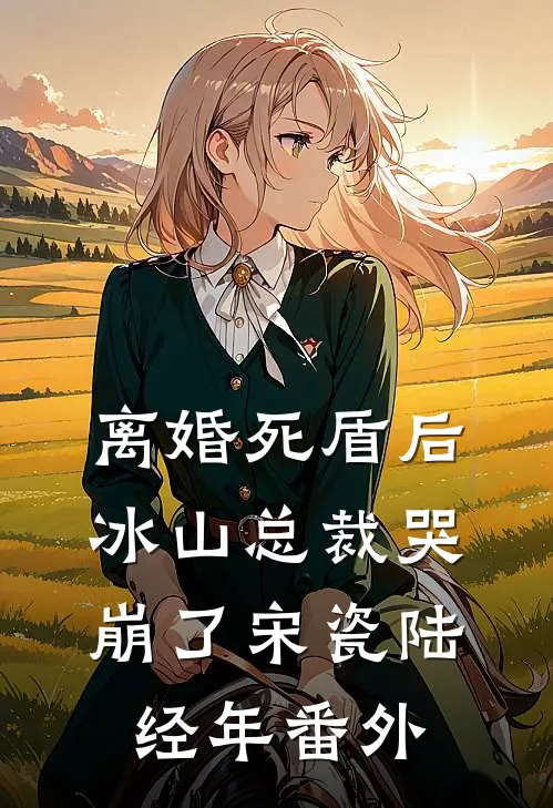 离婚死盾后，冰山总裁哭崩了宋瓷陆经年 番外