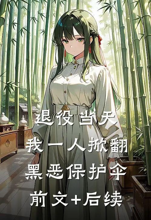 退役当天，我一人掀翻黑恶保护伞前文+后续