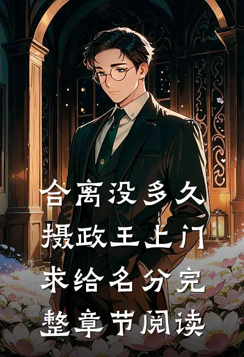 合离没多久，摄政王上门求给名分完整章节阅读